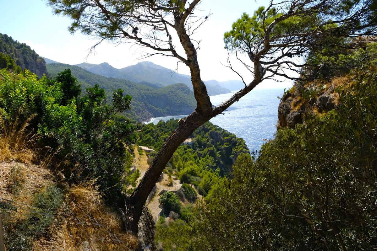 Parque Natural de Mondragó: calas vírgenes y naturaleza protegida